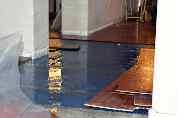 Professional Basement Flood Cleanup technician working in Alma, MO